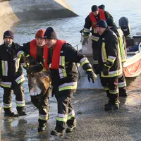 fib_reh_innkanal_st_erasmus_6329.jpg
