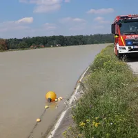 fib Person Innkanal St. Erasmus 5452.jpg