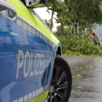 symbolbild_baum_fahrbahn_polizei.jpg