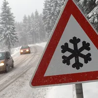 beispielbild_schneebruch.jpg